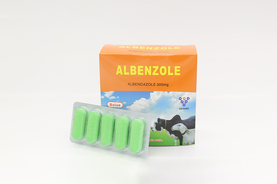 300 mg-albendazol-bolo-2