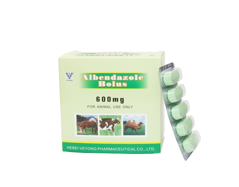 600 mg bolus albendazolu