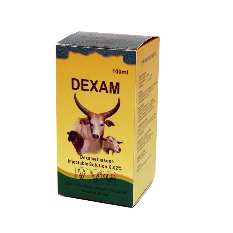 Dexamethasone injection solution