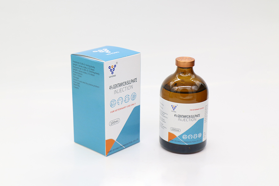 Gentamyclin sulphate injection 4 (3)