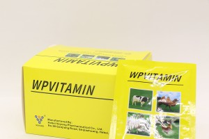 Vitamin tổng hợp hòa tan-bột-1