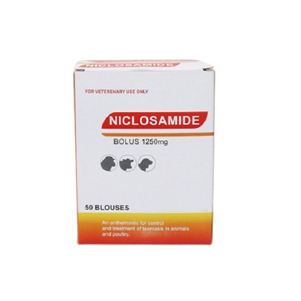 Niclosamide bolus