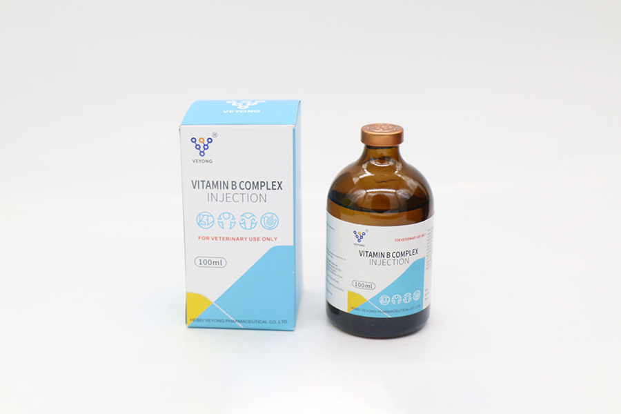 Vitamin-B-complex-injection--1