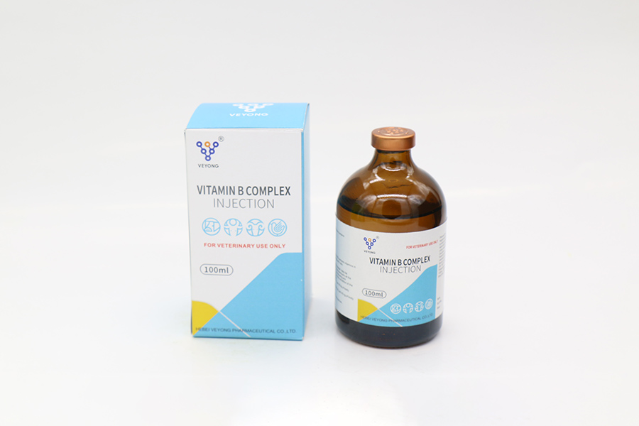 Inxección do complexo de vitamina B - 1