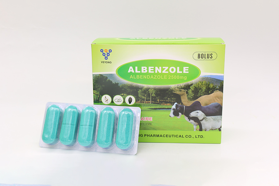 2500mg-Albendazole-bolus-5