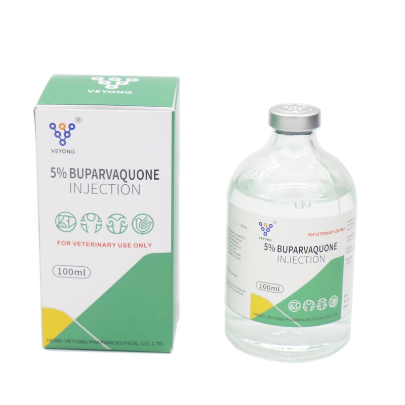 China Well-designed Buparvaquone Injection 5% Manufacture and Factory ...